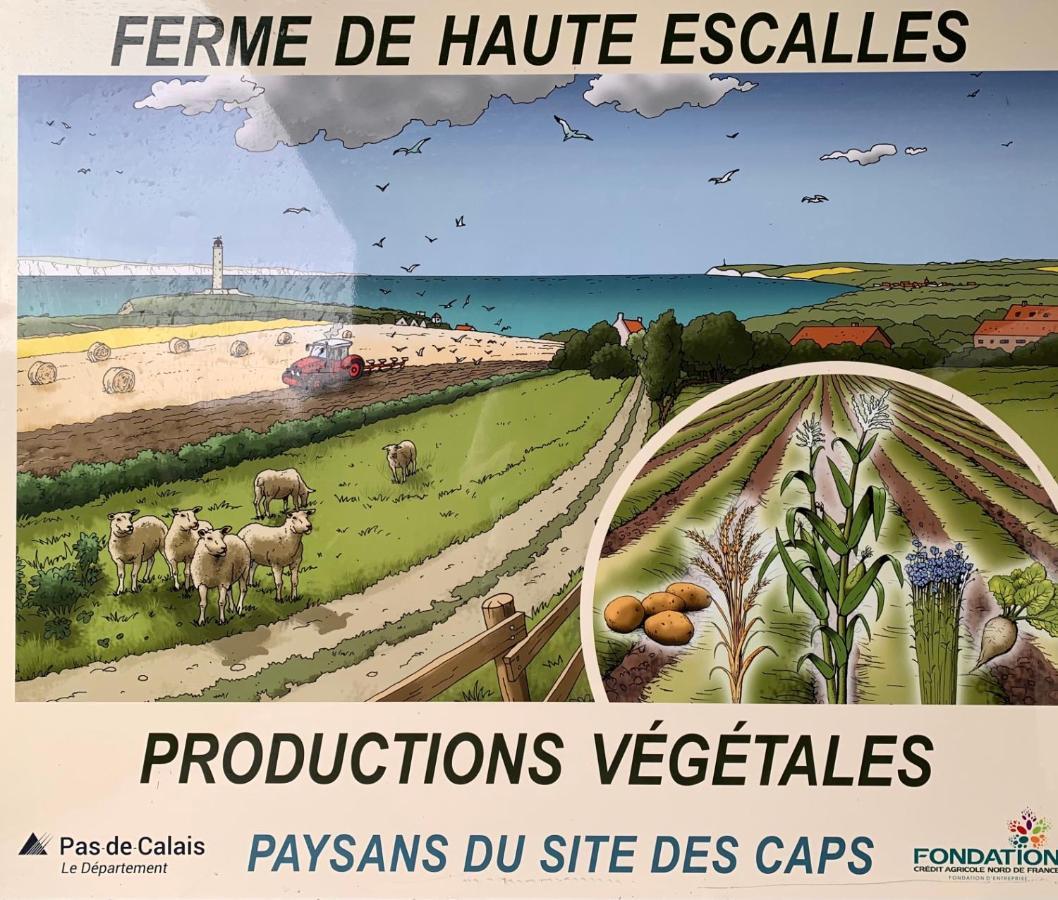 Ferme De La Haute-Escalles Bagian luar foto